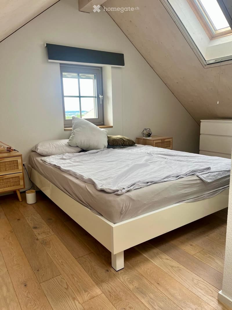 Magnifique petite maison individuelle rénovée à neuf en 2020 (5)