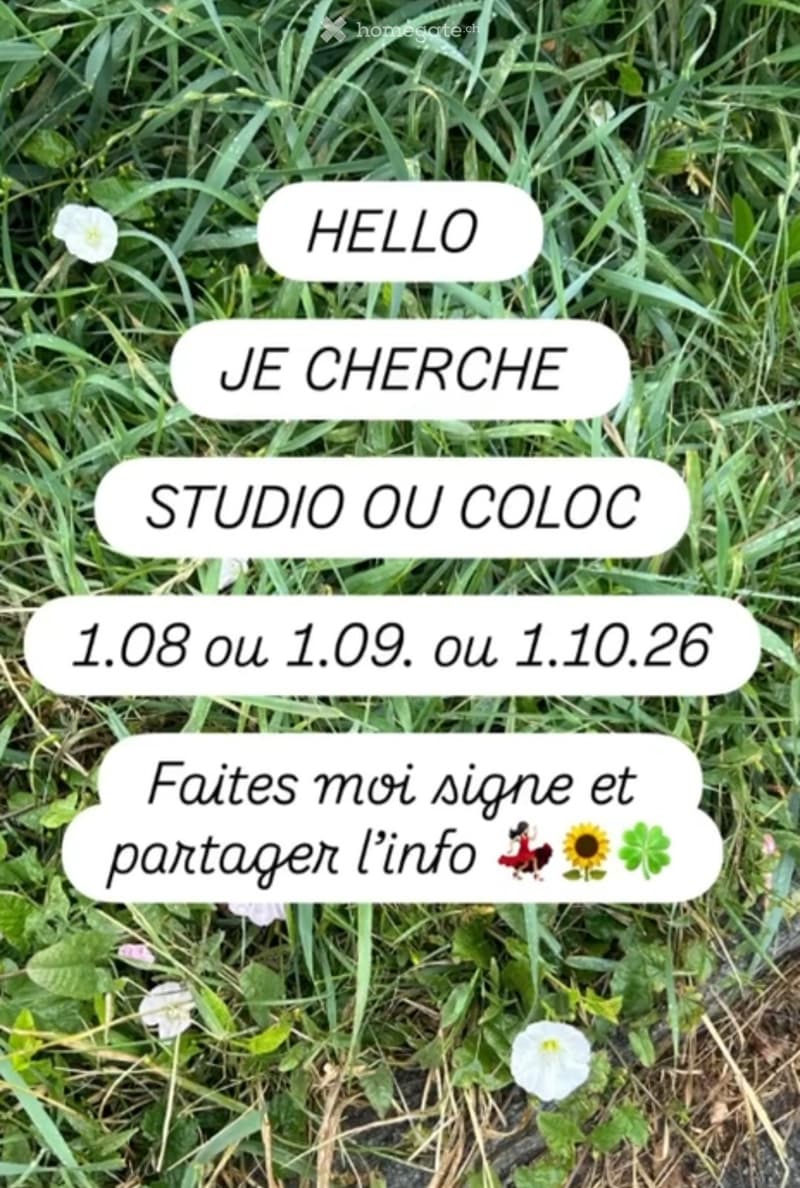 Recherche Studio OU Colocation (1)