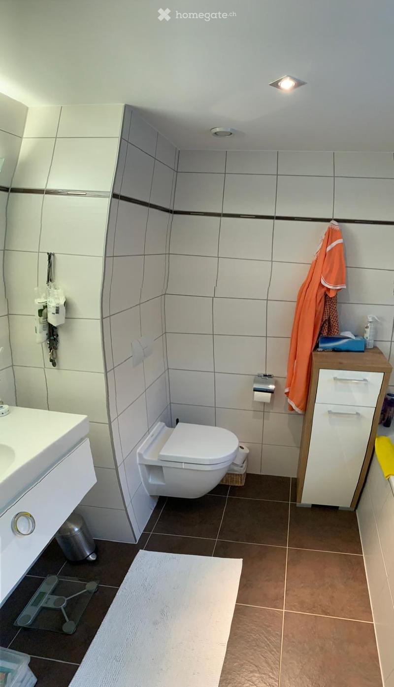 App 3,5 - terrasse 24 m2- duplex mezzanine- garage 2 pl. P (8)