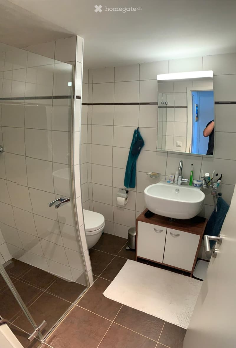 App 3,5 - terrasse 24 m2- duplex mezzanine- garage 2 pl. P (7)
