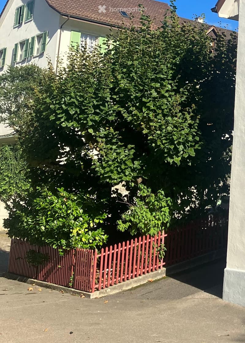 Einzige Wohnung im Haus (2)