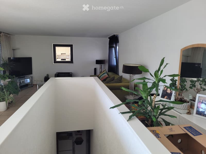 appartement duplex subventionné (5)