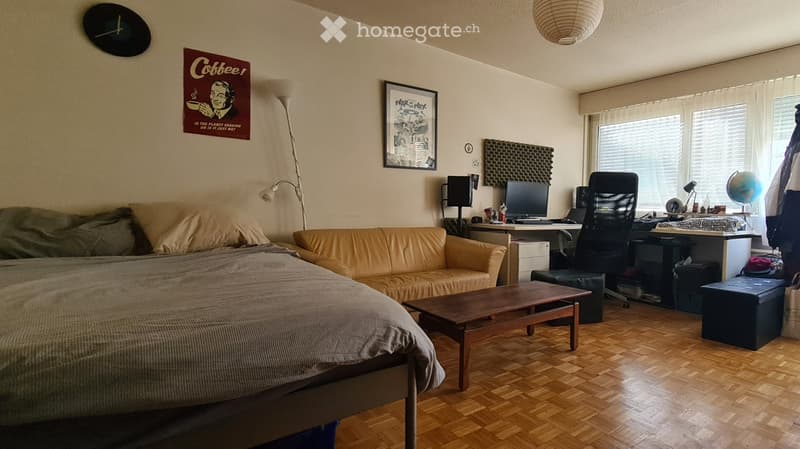 Studio 35m2 à Neuchatel (1)