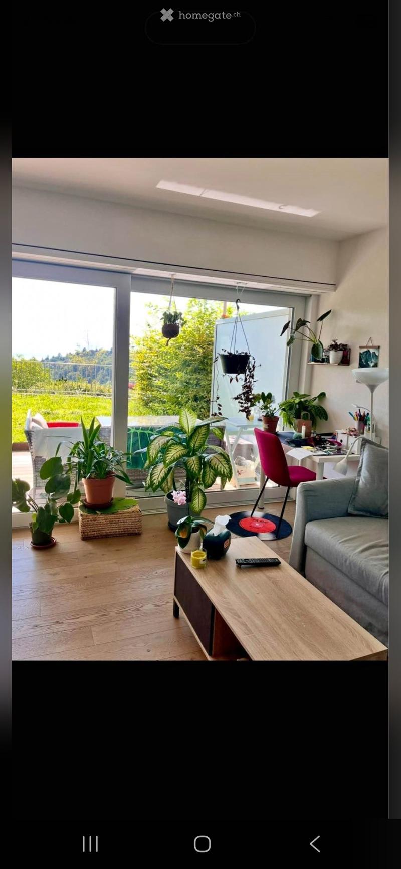Appartement 2,5 pièces à Belmont (1)