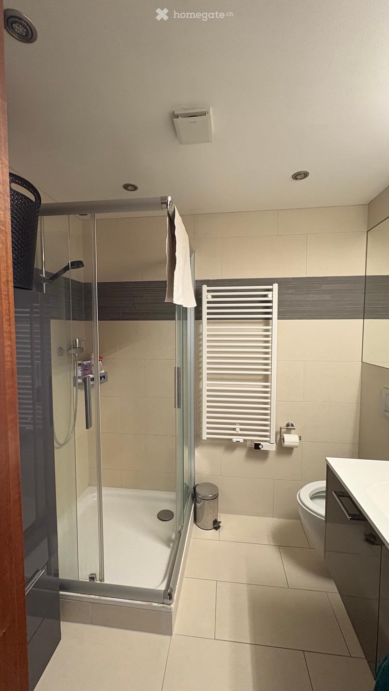 Appartement 5,5 pièces 160m2 (2)