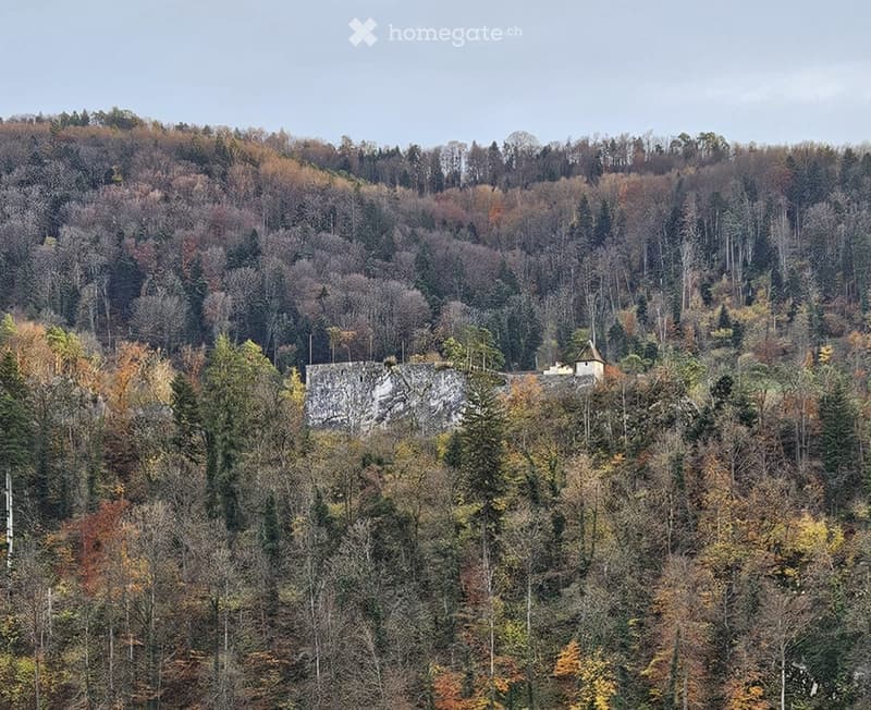 Maison avec charme et vue sur château (3)