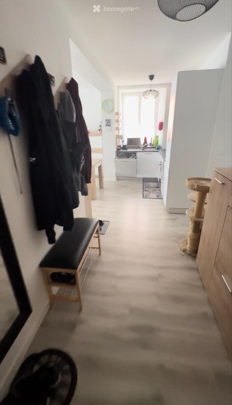 Grande appartement (3)