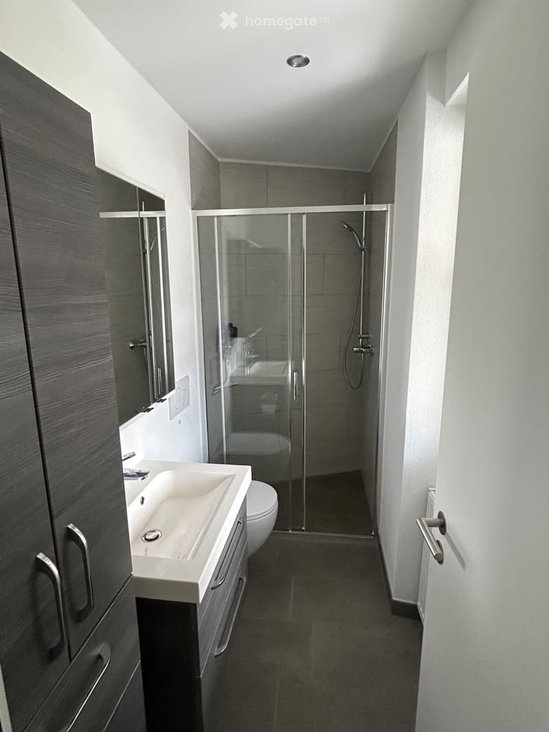 Moderne 2.5-Zimmerwohnung mit privatem Sitzplatz in Agarn (4)
