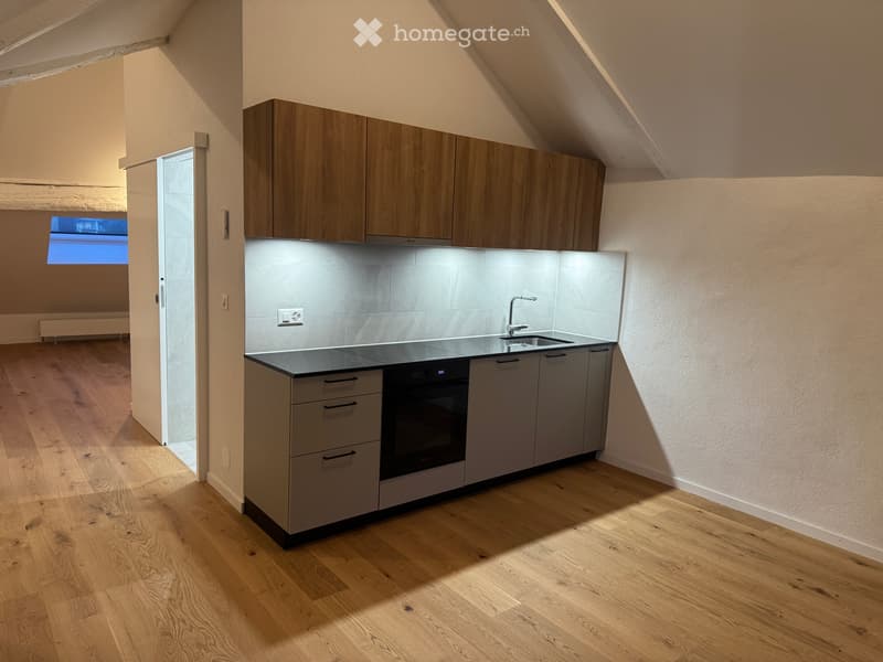 Loft de 60m2 neuf à louer de suite (1)