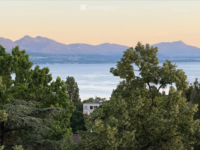 3.5 pièces à LAUSANNE-vue lac (1)