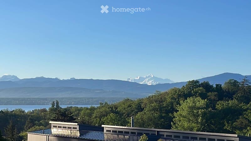 3.5 pièces nyon calme (1)