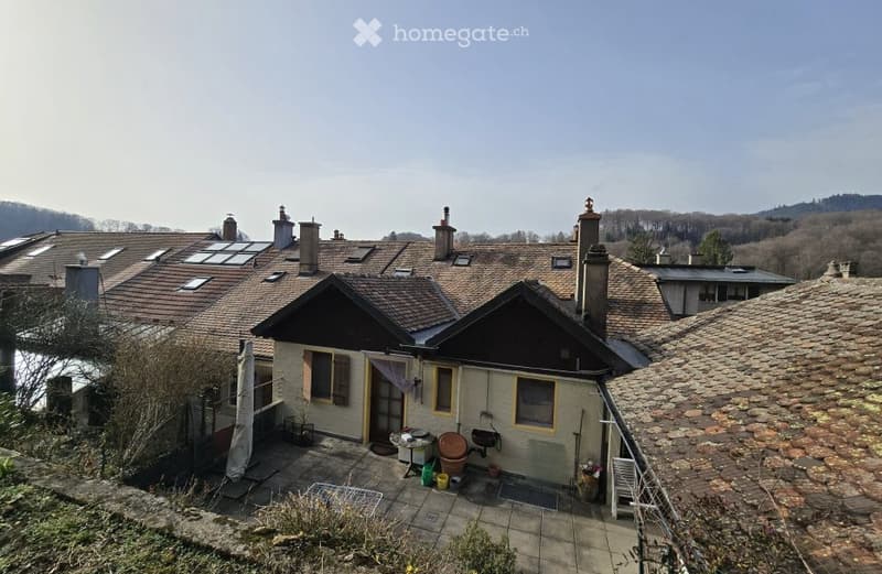 Magnifique appartement Grand jardin & terrasse (5)