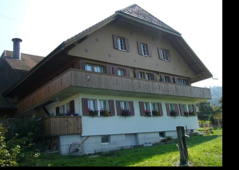 4,5 Zimmer-Wohnung in Bauernhaus (5)