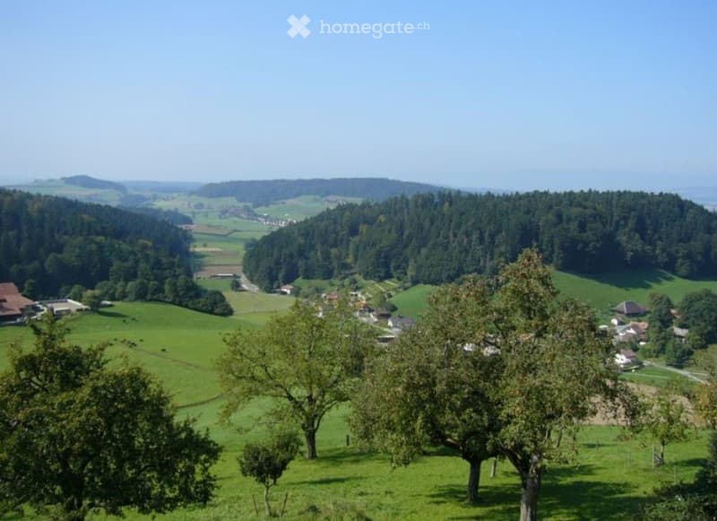 4,5 Zimmer-Wohnung in Bauernhaus (4)