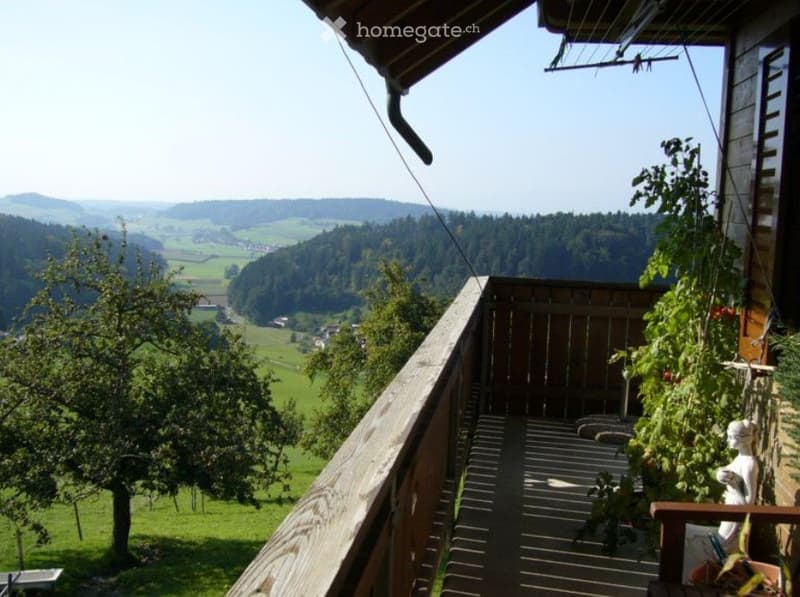 4,5 Zimmer-Wohnung in Bauernhaus (1)