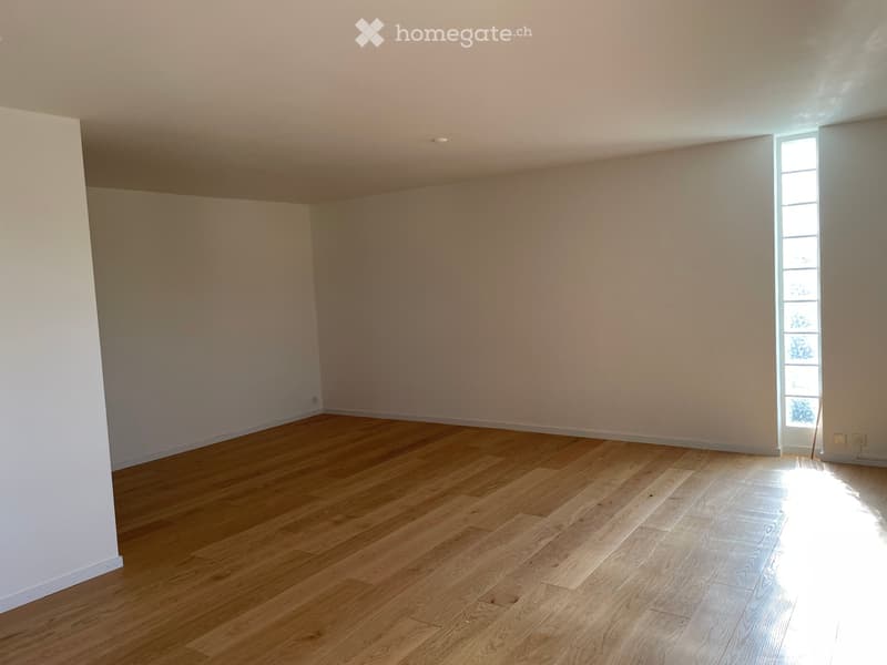 Appartement 5, 5 pièces à louer dès le 1er août à Nyon (2)