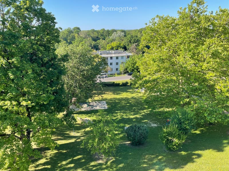 Appartement 5, 5 pièces à louer dès le 1er août à Nyon (11)