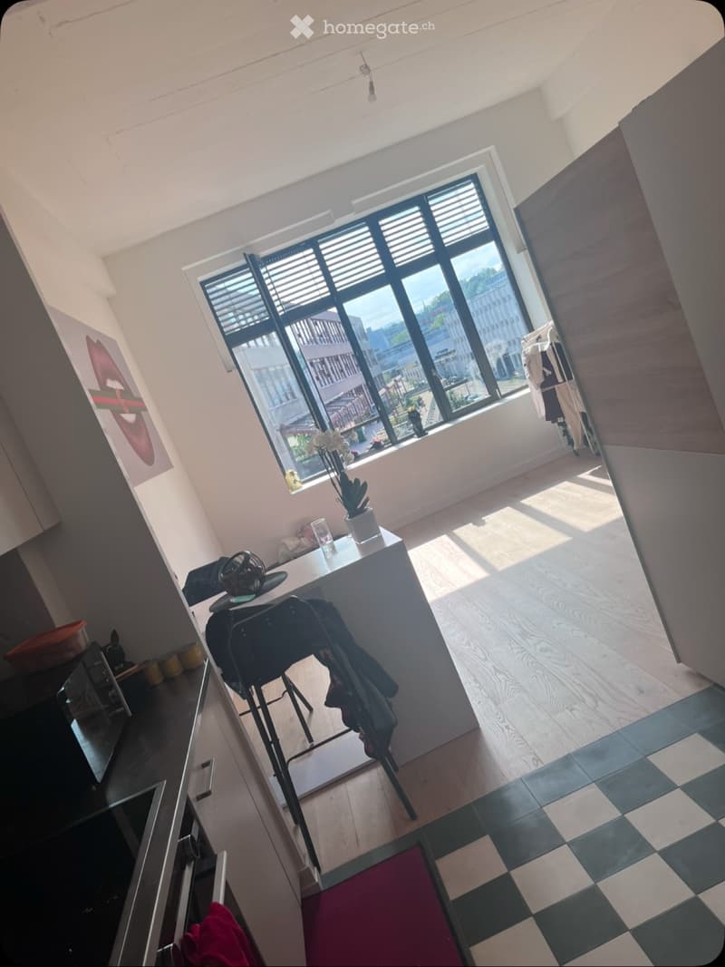 Louer appartement (1)