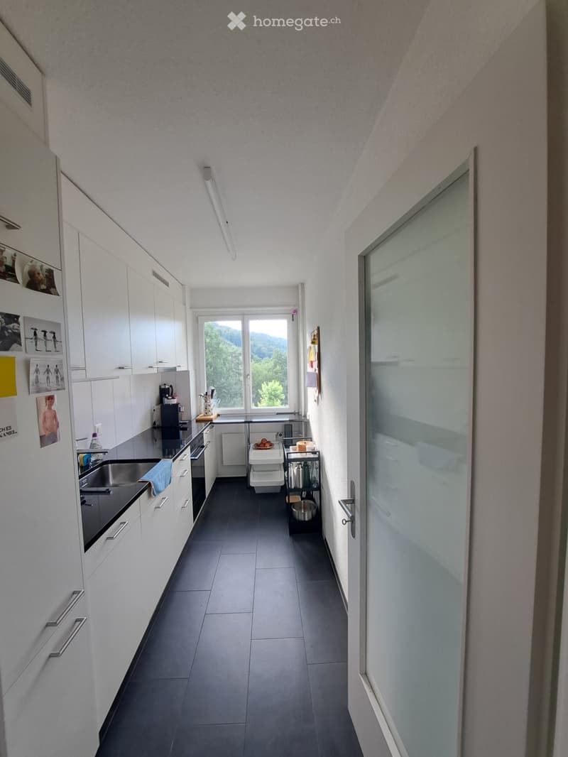 3 1/2 Zimmer Wohnung (4)