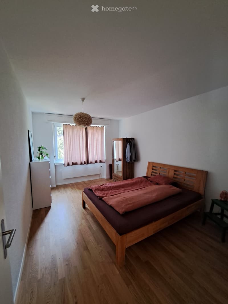 3 1/2 Zimmer Wohnung (2)
