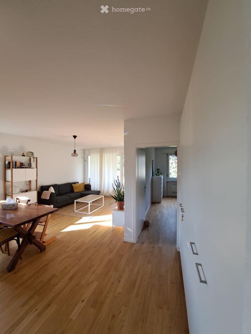 3 1/2 Zimmer Wohnung (1)