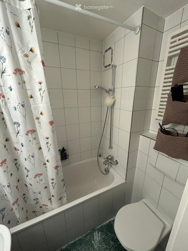 Renovierte 2,5-Zimmer-Wohnung in Wettingen (4)