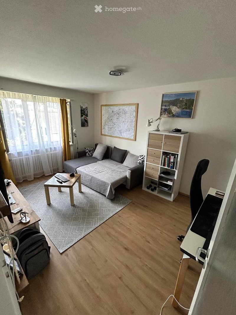 Renovierte 2,5-Zimmer-Wohnung in Wettingen (2)