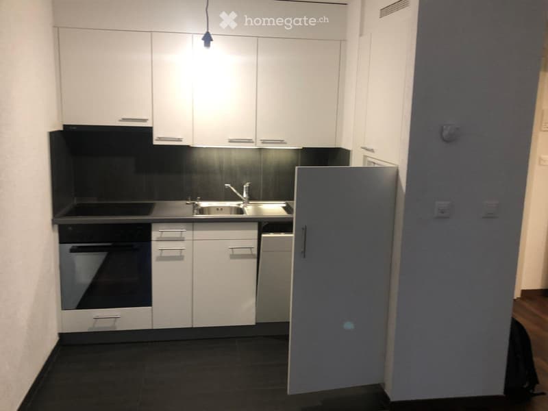 Appartement centre Lausanne (5)