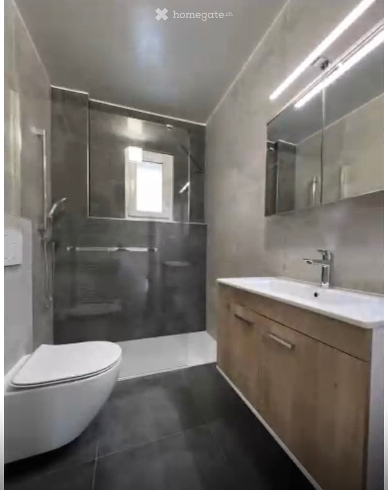 Appartement 3 pièces avec balcon à louer (libre de suite) (5)