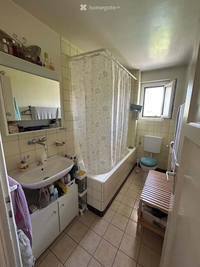 Sous location appartement 3 pièces Morges (4)