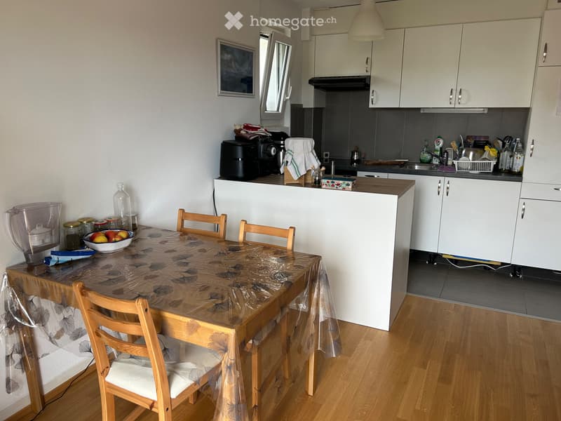 Sous location appartement 3 pièces Morges (2)