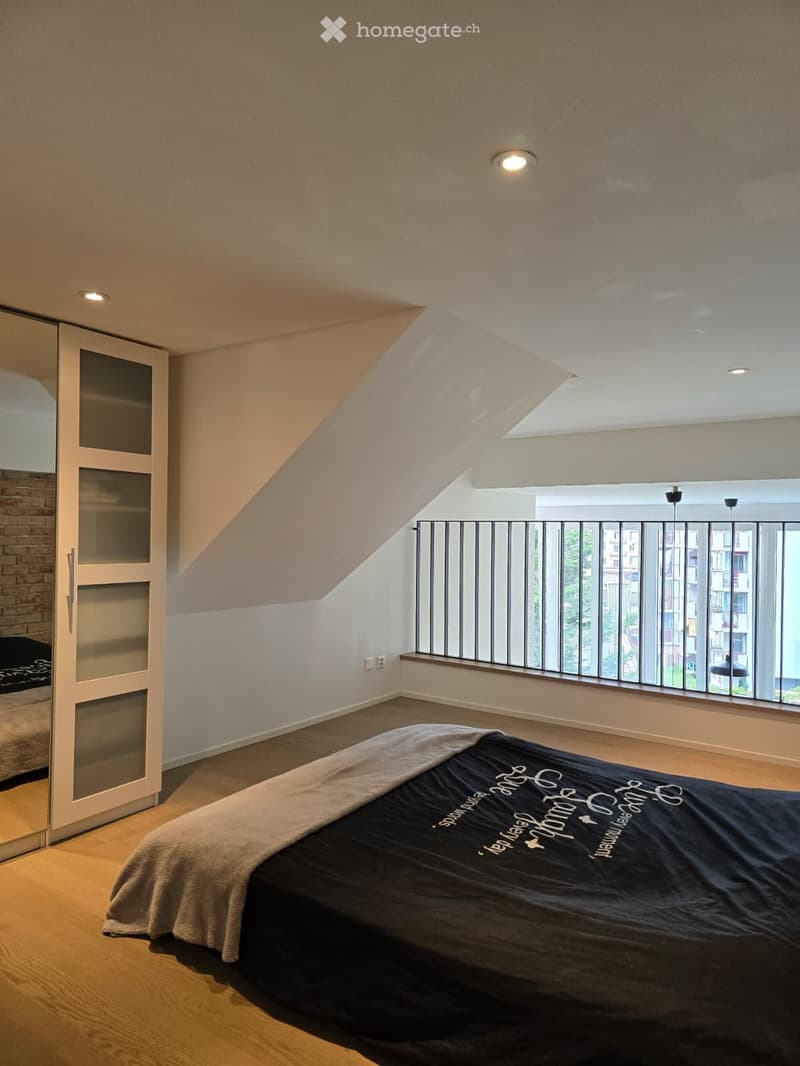 Magnifique loft / quartier Malley (4)