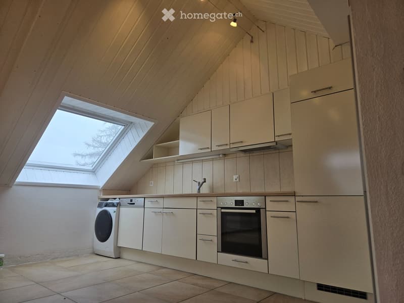 Superbe 3.5 pièces avec garage (2)