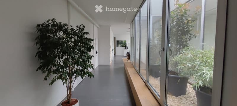 Haus der 5 Sinne Wohnen auf Zeit in Wangen an der Aare (4)