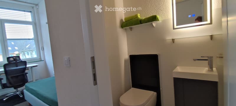 Haus der 5 Sinne Wohnen auf Zeit in Wangen an der Aare (3)