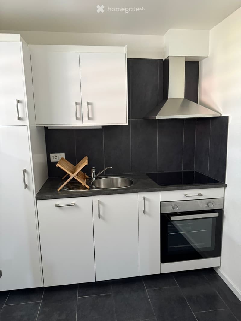 Appartement meublé et tout équipé de 2,5 pièces  Montreux (5)