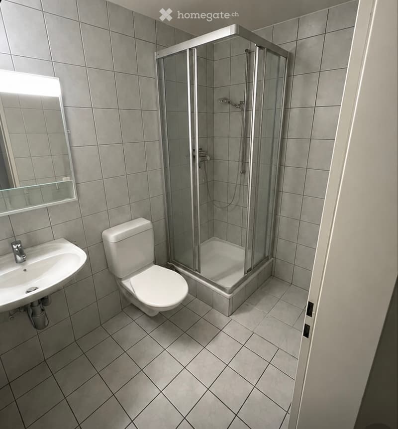 Appartement au centre ville (4)