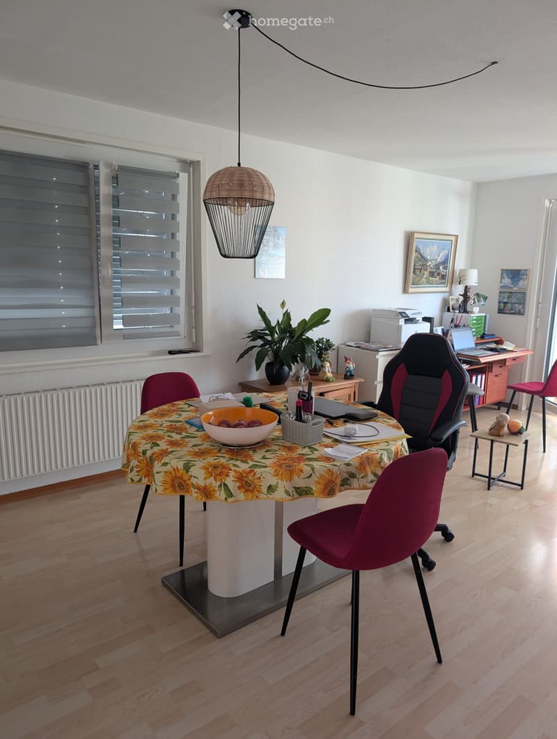 Grand appartement luminieux et calme (5)