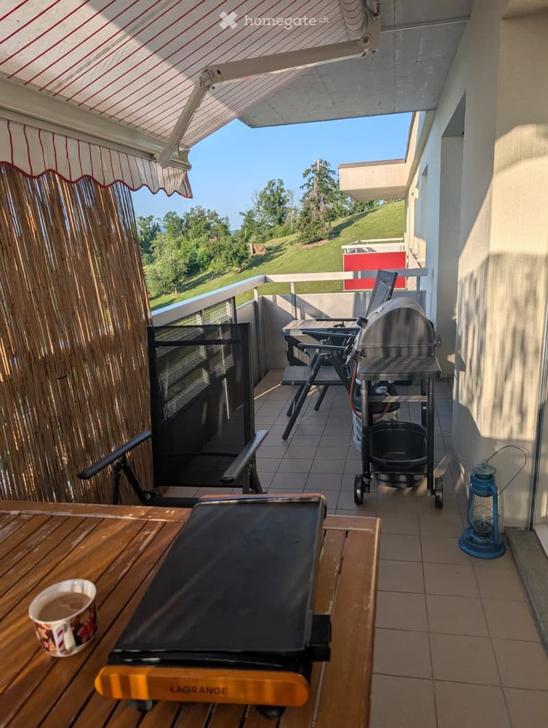 Grand appartement luminieux et calme (1)