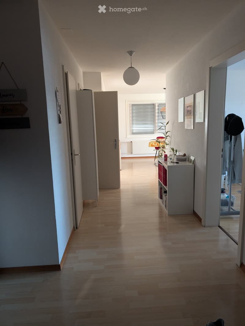 Grand appartement luminieux et calme (4)