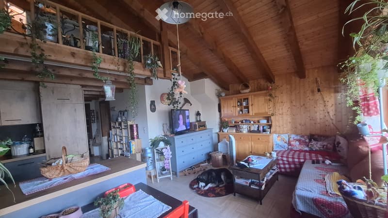A louer appartement dans petit immeuble tranquille (2)
