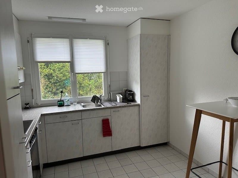 3-Zi. Wädenswil Bergblick & Sonnenbalkon ab Mitte Juli (4)