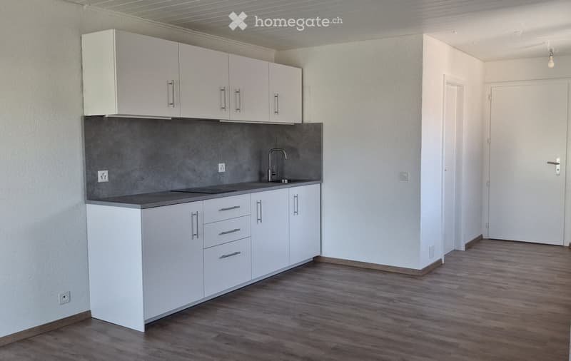Studio rénové avec terrasse au centre de Crans-VD (1)