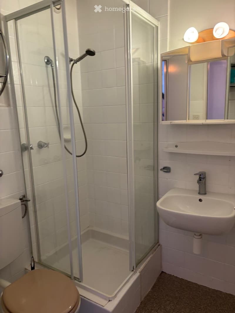 Studio meublé à louer Disponible immédiat La Chaux-de-Fonds (3)