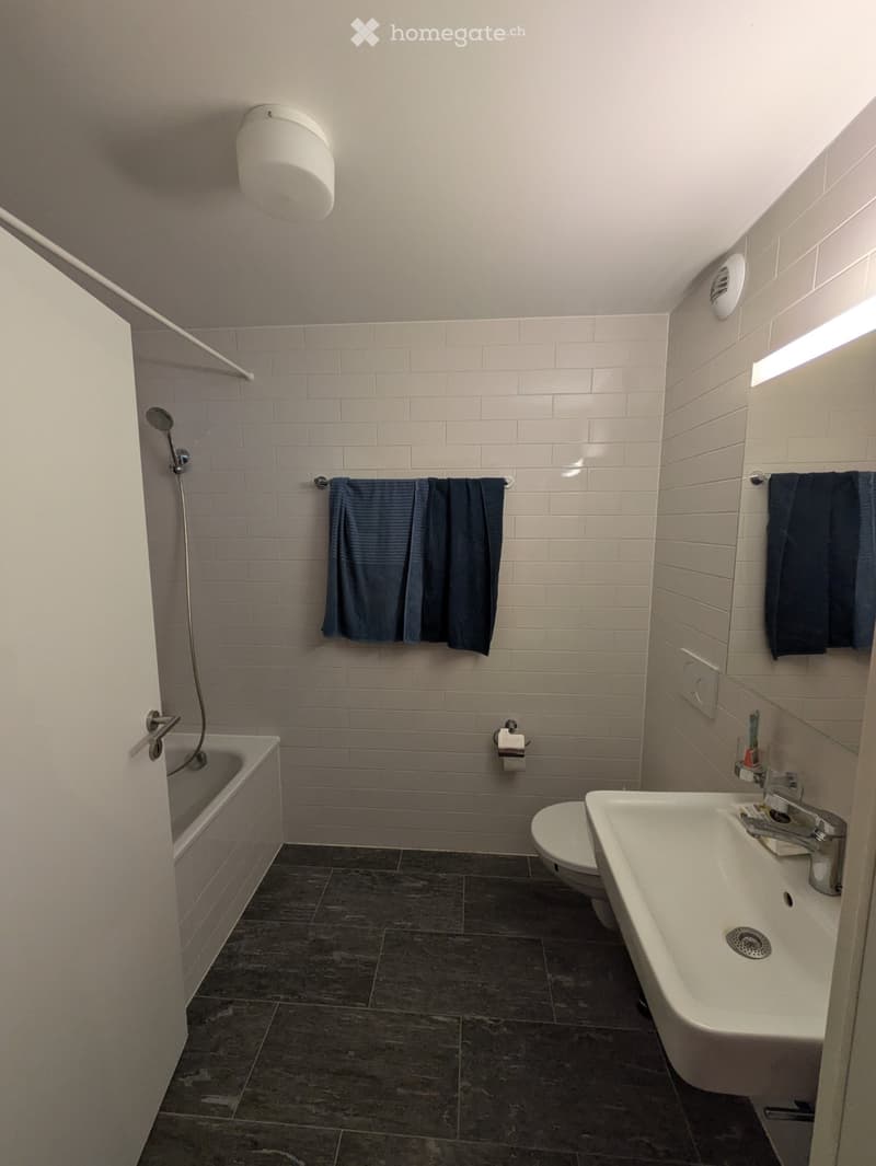 Appartement 2.5 pièces moderne à Lausanne (2)