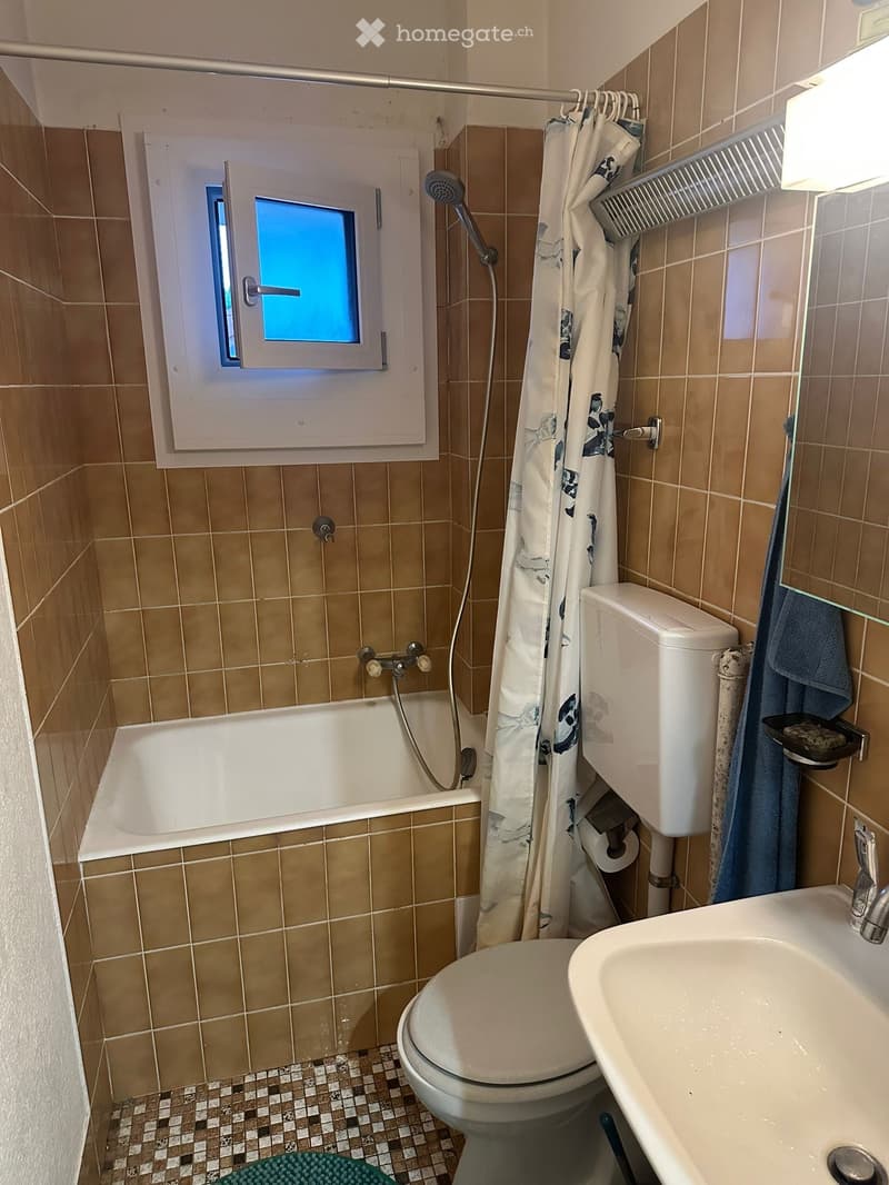 Reprise de bail - Appartement de 4,5 pièces (3)