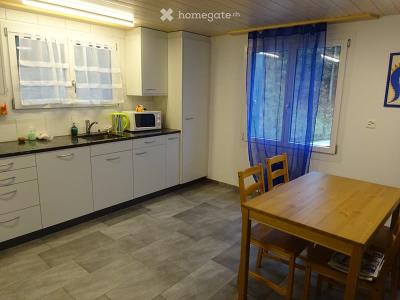 Schöne 3.5 Zimmer Wohnung zu vermieten (3)