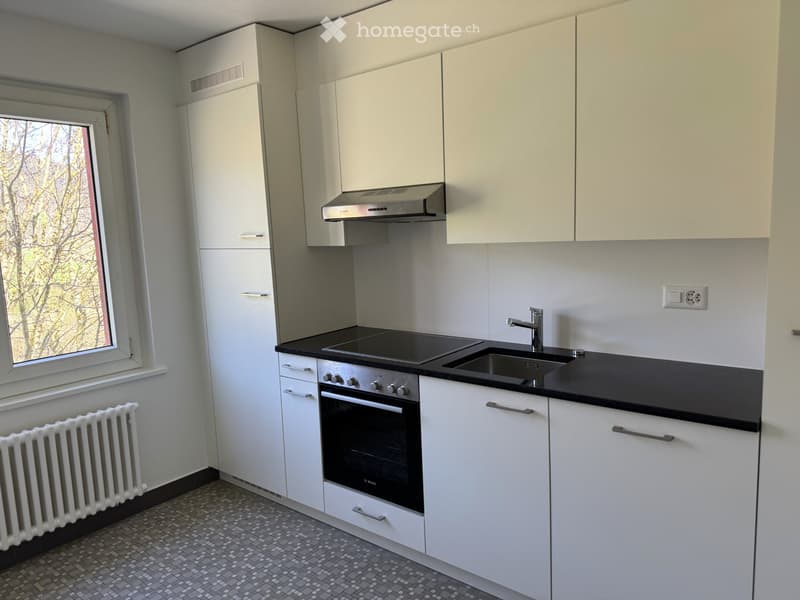 Appartement lumineux de 4 pièces (4)