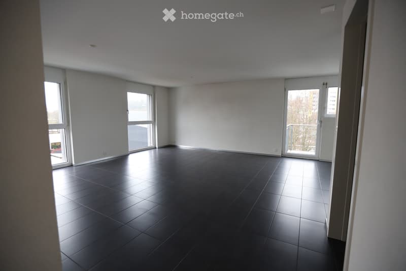 Grand appartement lumineux de 2 pièces (1)