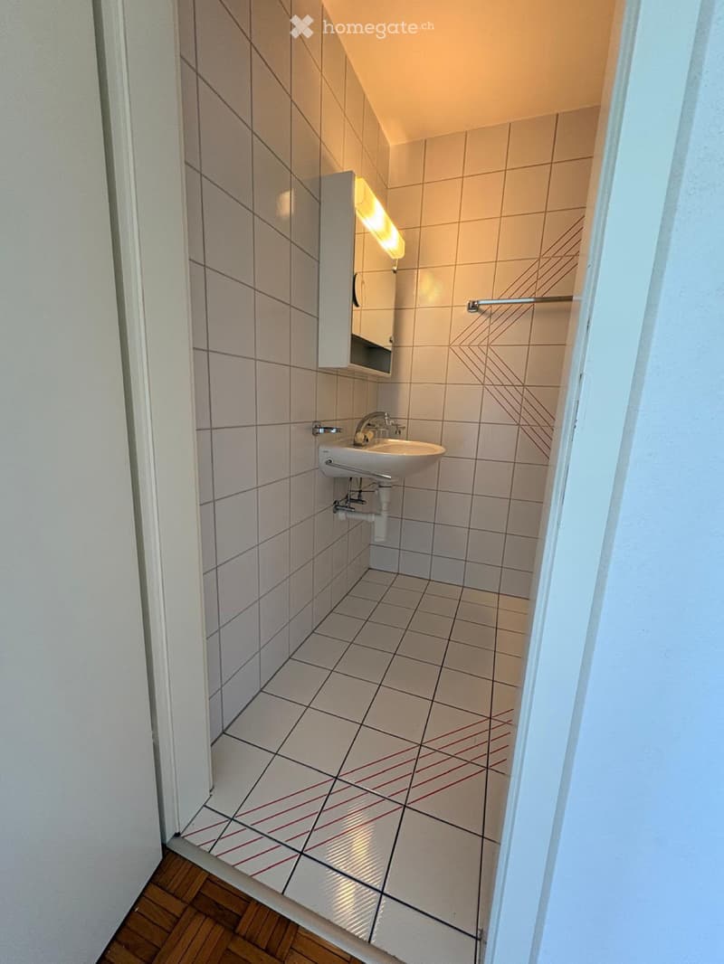 Magnifique appartement de 1.5 pcs (5)
